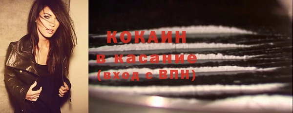 гидра Волоколамск