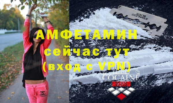 прущие грибы Армянск