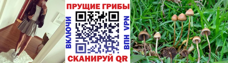 Галлюциногенные грибы Cubensis  цена наркотик  Октябрьск 
